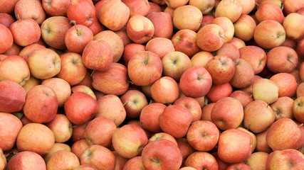 Fresh organic apples from above full frame