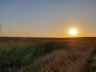 sunset over field