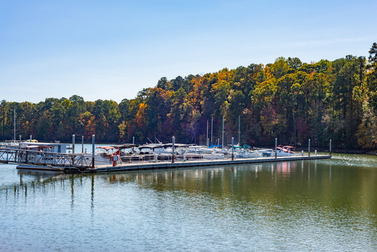 Docked Boats