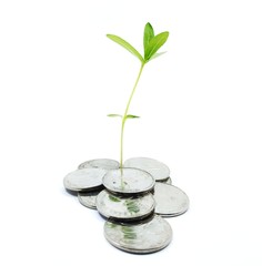 Fototapeta na wymiar coins overgrown with small green plants. with a white background. as a concept of life-saving.