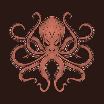 recommend clip art: Hand drawing vintage octopus vector illustration