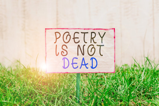 Text sign showing Poetry Is Not Dead. Business photo text aesthetic and rhythmic writing is still alive and modern Crumpled paper attached to a stick and placed in the green grassy land