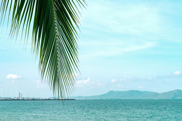 summer sea with leaves palm and copy space,sky relaxing concept,beautiful tropical background for travel landscape