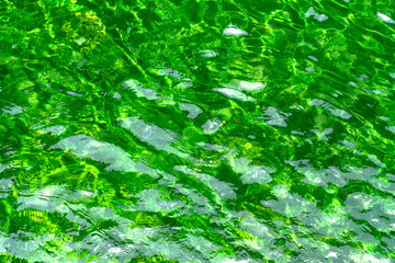 condition green water reflecting in the sun