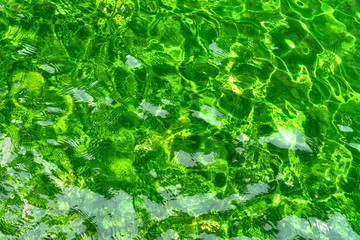 condition green water reflecting in the sun