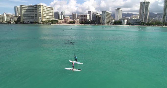 Flying POV, People on SUP next to dolphins off the coast of Philippines, in aquamarine water
