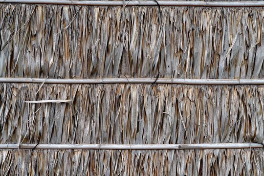 Roof or wall made from dry nypa palm leaves pattern