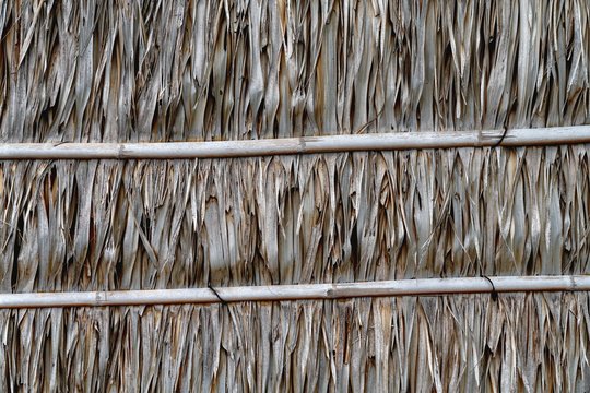 Roof or wall made from dry nypa palm leaves pattern