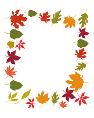 Isolated autumn leaves vector design