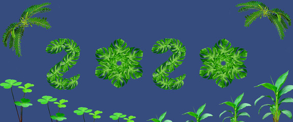 word 2020 spelled with leaf monstera isolated on blue background