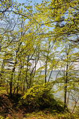 Großer Jasmunder Bodden, Lietzow, Insel Rügen