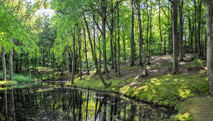 Großer Jasmunder Bodden, Lietzow, Insel Rügen