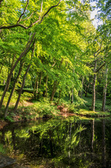 Großer Jasmunder Bodden, Lietzow, Insel Rügen