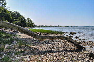 Großer Jasmunder Bodden, Lietzow, Insel Rügen