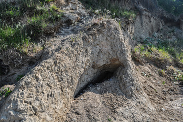 Großer Jasmunder Bodden, Lietzow, Insel Rügen