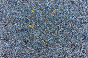 敷砂利と落ち葉