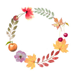 Wreath watercolor of autumn consist of maple leaf, poppy flower, pink rose, apple, cherry and autumn leaf on white background