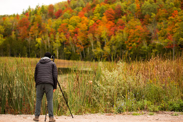 Man Taking Photographs of Trees in the Fall