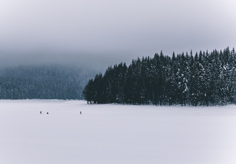 fishing on the frozen lake