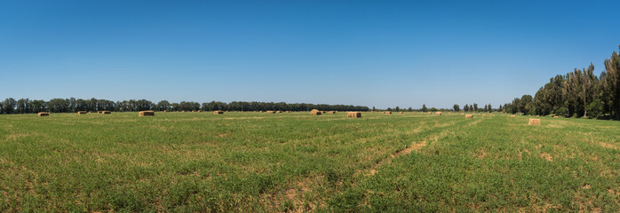 Panorama. Rural landscape. Green field with yellow hay bales on a background of blue sky