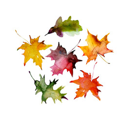 Autumn maple leaves, set of elements for design, watercolor illustration.