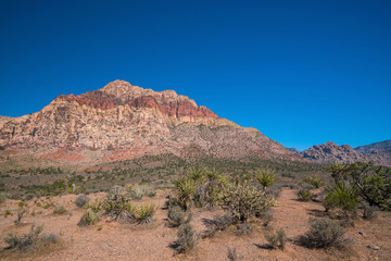 Views from Red Rock Canyon, Nevada