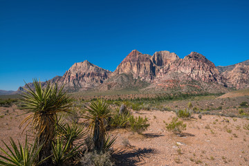 Fototapeta na wymiar Views from Red Rock Canyon, Nevada