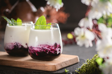 Homemade dessert panna cotta with berry sauce and mint
