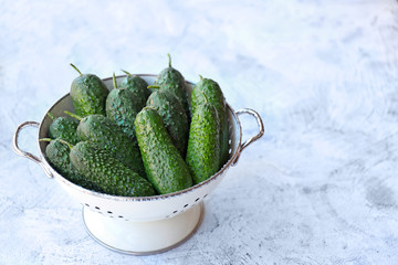 Colander with fresh cucumbers on white background