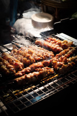 Chicken skewers were grilled on an electronic stove