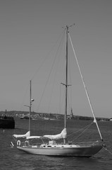 sailing boats at sunset