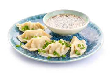 Plate with tasty Japanese gyoza and sauce on white background