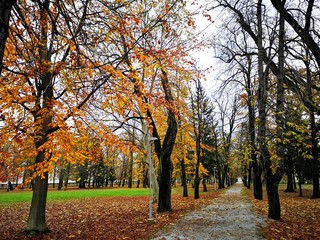 Herbst Park Allee