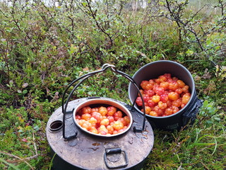 berries in a coffee pot in Norway