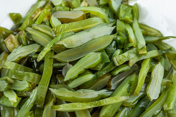 Freshly cut sea cabbage on a saucer on a white background