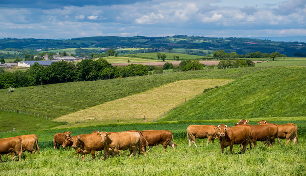 Campagne Aveyronnaise, Aveyron, Occitanie, France.
