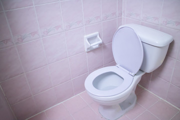 Flush the toilet in the house or shelter.
