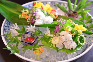 travel in Japan