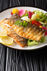 Healthy lunch grilled sea bass fillet with lemon and fresh vegetable salad close-up on the table....
