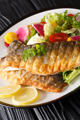 fried sea bass fillet with lemon and fresh vegetable salad close-up on a plate. vertical