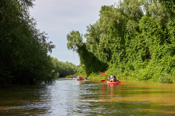 Fototapeta na wymiar Group of friends kayaking in wild Danube river near shore with big green trees on biosphere reserve in spring. Concept for friendship, adventure, travel, action, lifestyle and kayaking