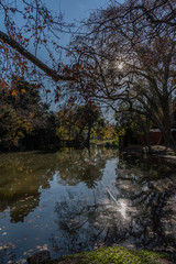 Reflejo, agua y parque