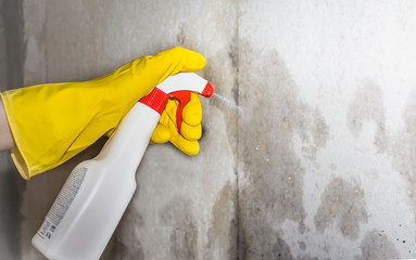 pest control, a person sprays a remedy for mold and other pests on the walls of the house
