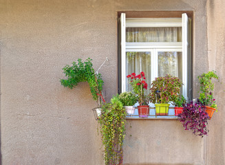 Fototapeta na wymiar vintage house window with colorful flowers, Athens Greece