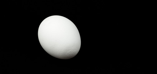 white egg isolated on black background with copy space