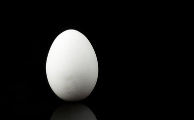upright white egg isolated on black background with copy space