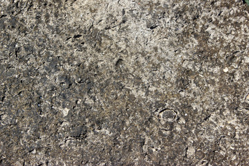 Ancient nature rough stone with traces of the sea abstract texture for background