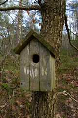 wooden birdhouse on a tree