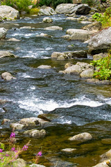 ruscello di montagna, acqua 