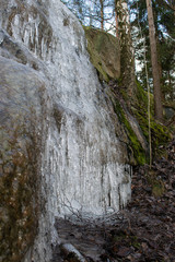 Frozen water in forest